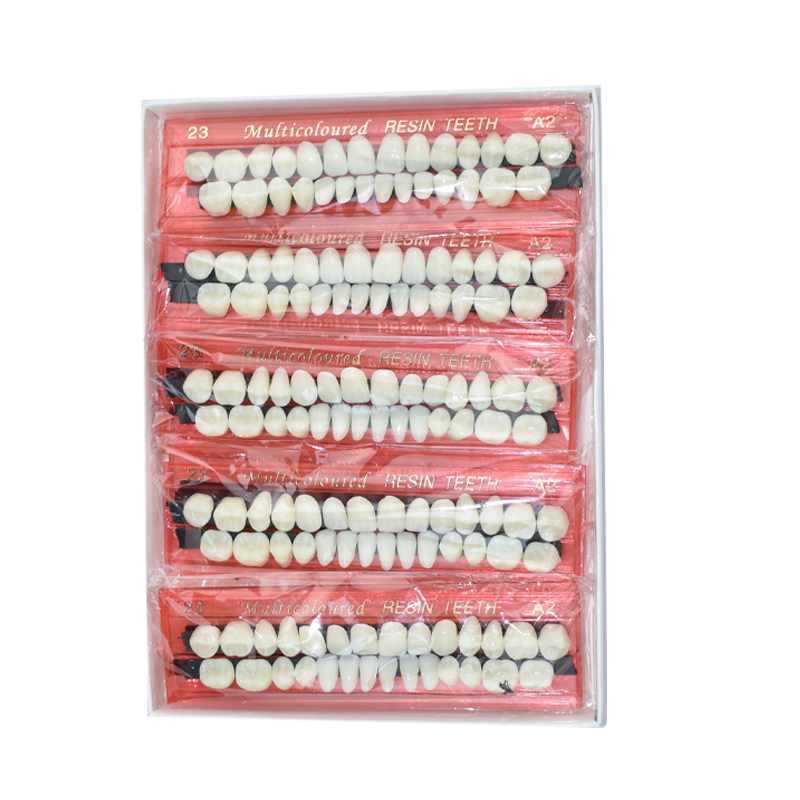 28 Teeth Dental Resin Denture  - đánh giá và giá Teeth Whitening Flash