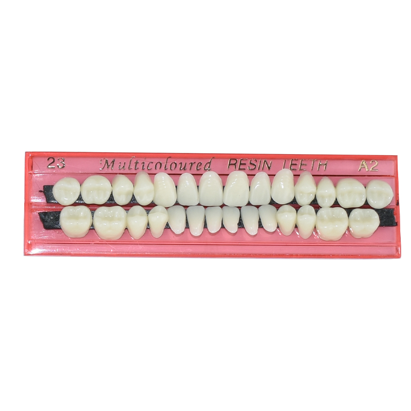 28 Teeth Dental Resin Denture  - đánh giá và giá Teeth Whitening Flash